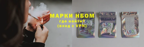 гидра Богданович